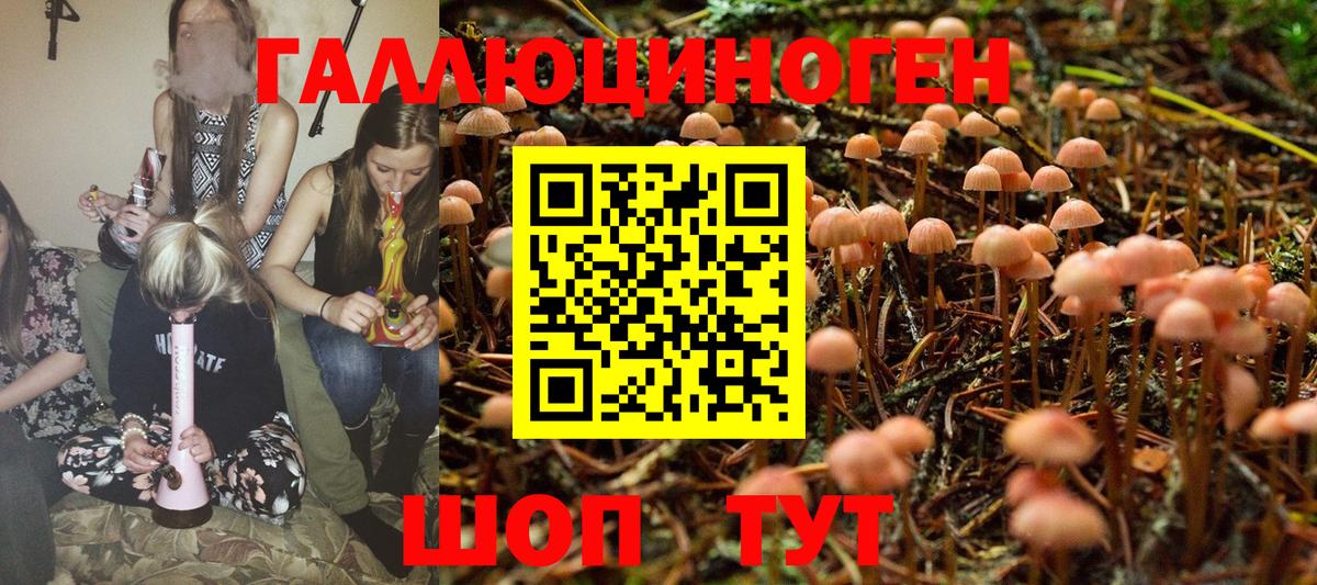 Галлюциногенные грибы Cubensis Алейск
