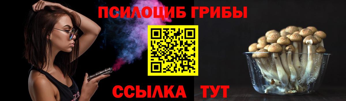 Алейск  Псилоцибиновые грибы Psilocybe  Вход с VPN 